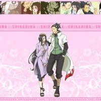 Shikamaru and Hinata cute couple